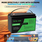 DATOUBOSS 12V 100Ah LiFePO4 Battery with 100A BMS and 1200W Pure Sine Wave Inverter 12V to 230V, 2500W Peak Power, USB, LED Display, EU Socket for RV, Home Backup and Outdoor Camping